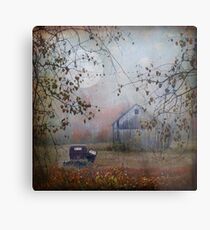 seen better days... Metal Print