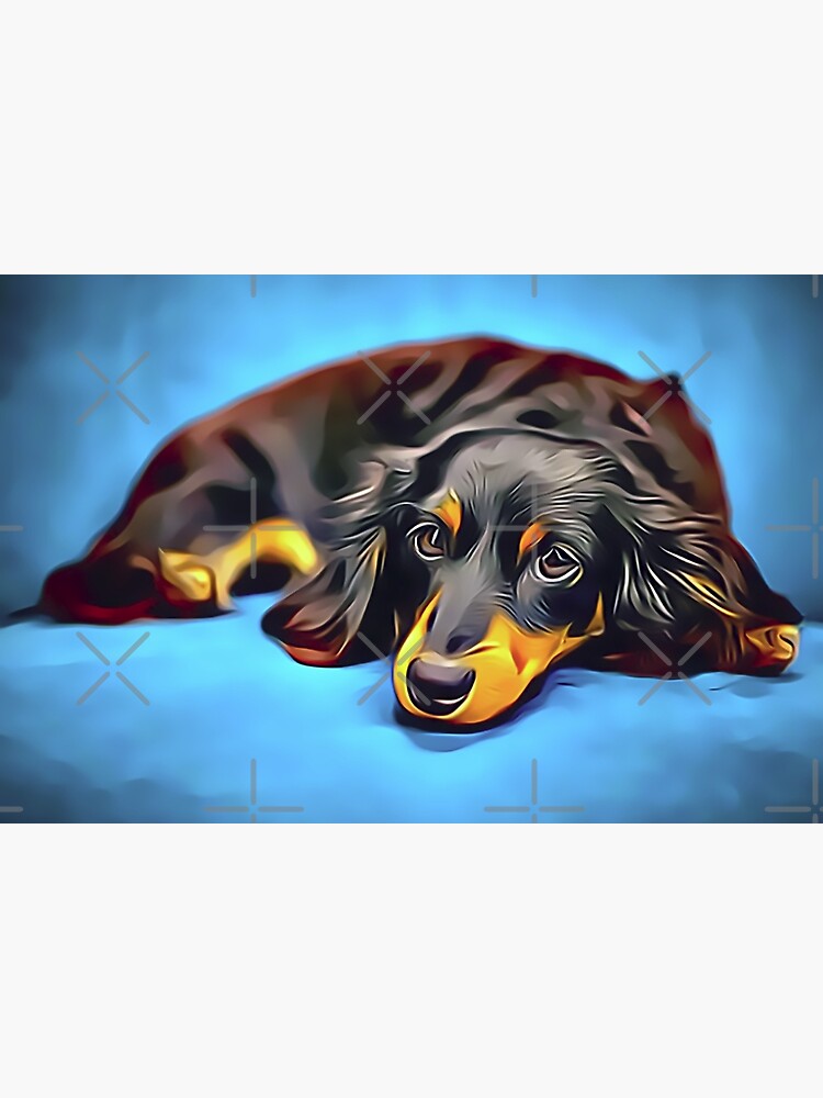 Sleepy Long Haired Brown Dachshund by Sunleil