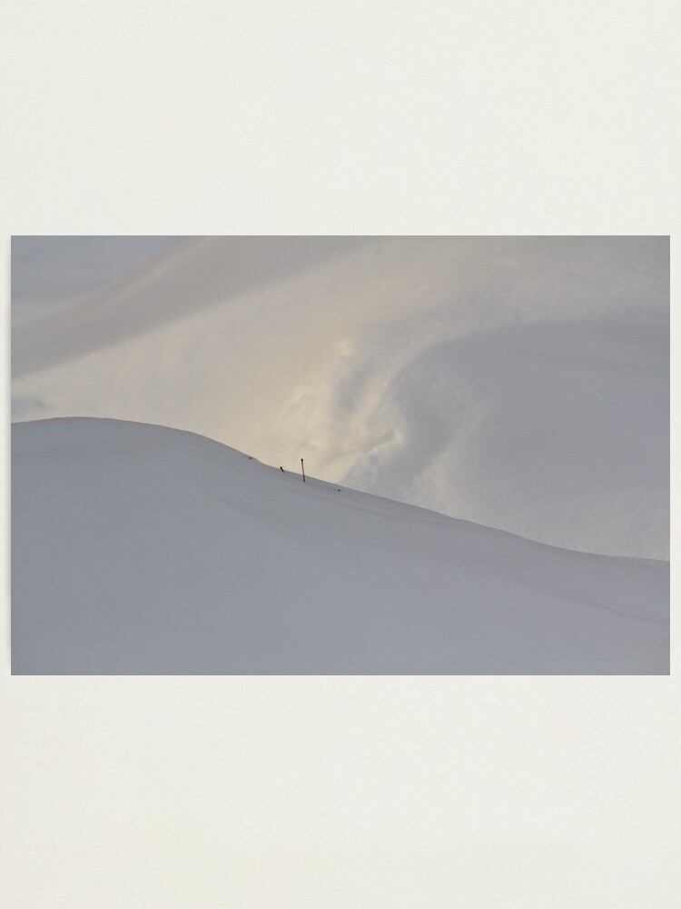 Alternate view of Snow There Photographic Print