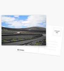 Vineyards in Lanzarote Postcards