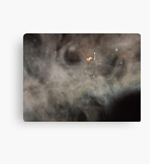 The Myst Canvas Print