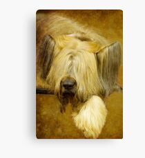 Tough Day Canvas Print