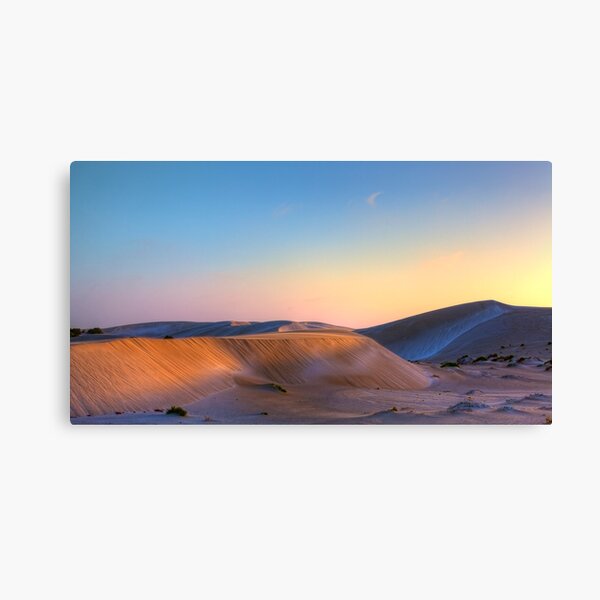 Summer out West Canvas Print
