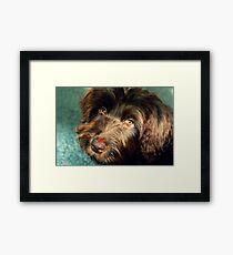 Mulligan Framed Print