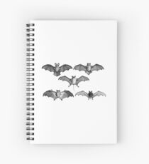 Bat, Cahier à spirale