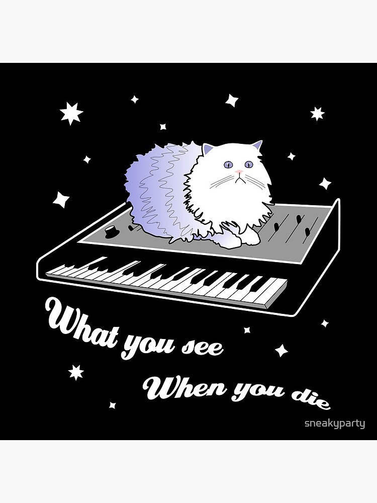 Cat on a Keyboard in Space by sneakyparty
