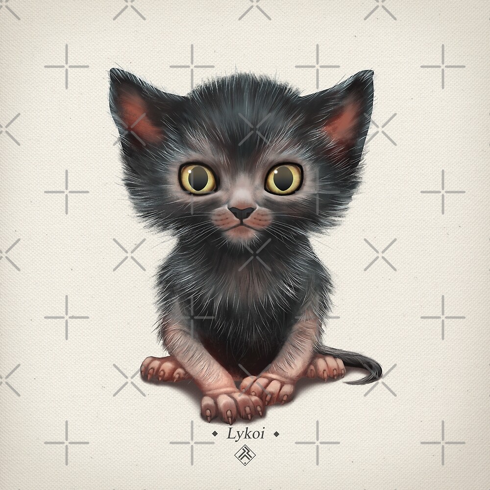 Lykoi Kitten Werewolf Cat By Iker Paz Studio Redbubble