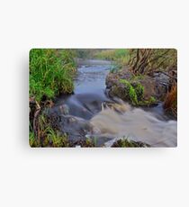 Apsley River. 24-1-11. Canvas Print
