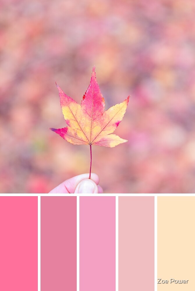 "Pastel Autumn Colour Palette in pinks" by Zoe Power | Redbubble