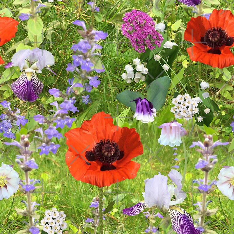 "Late May in the yard by Tea with Xanthe" by Teawithxanthe Redbubble