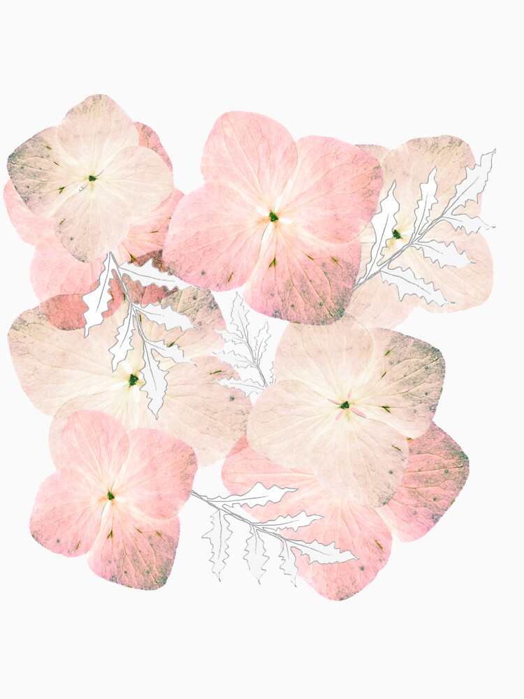 Hortensie Pastell von RanitasArt