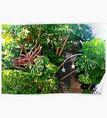 Lush foliage Poster