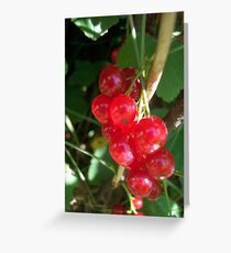 Fresh Greeting Card