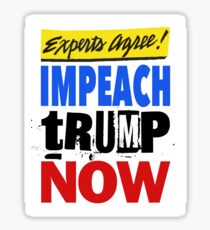 Experts Agree - Impeach tRump Now Sticker