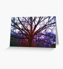 Color Altering of My Front Yard Giant Greeting Card