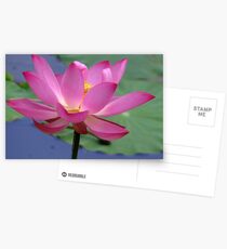 Lotus Inspirations Postcards