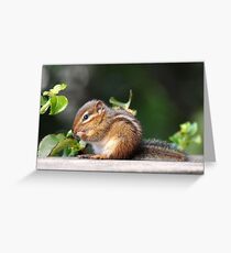 Chippie Greeting Card