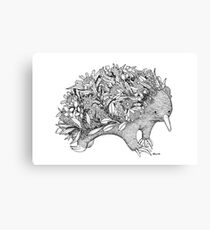 Botanical Echidna Canvas Print