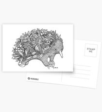 Botanical Echidna Postcards