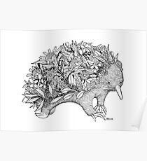 Botanical Echidna Poster