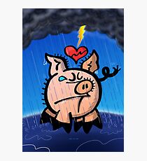 Broken Hearted Pig Photographic Print
