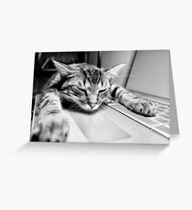 Sleeping @ Work Greeting Card