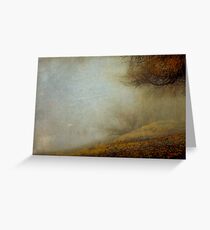 Trees of the Fraser Greeting Card