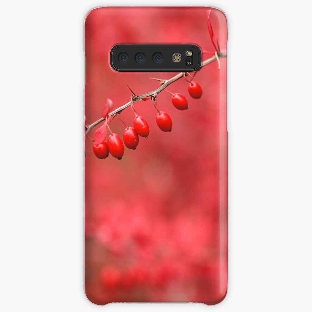 Close-up of red barberry Case & Skin for Samsung Galaxy