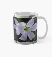 Oxalis Triangularis or Burgundy Shamrock Mug
