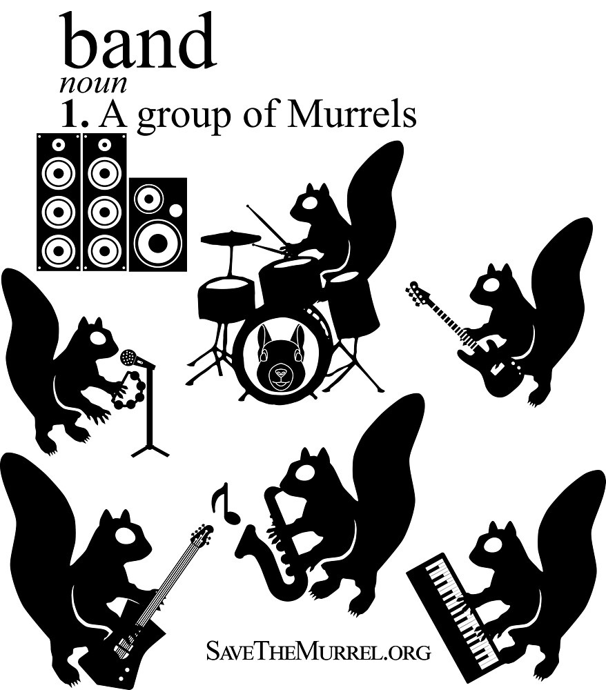 Band: noun A group of Murrels by SaveTheMurrel