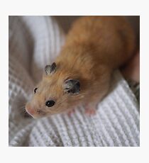 Cute? Photographic Print