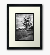Rocky Horror Framed Print