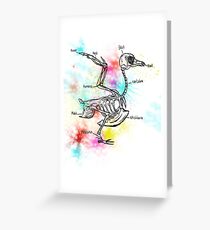 Bird bones Greeting Card