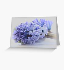 Hyacinth Bucket, pronounced bokeh! Greeting Card