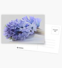 Hyacinth Bucket, pronounced bokeh! Postcards
