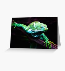 dragon Greeting Card