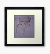 Corset Framed Print