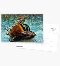 "Bumble Bee" Postcards