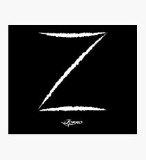 Lámina fotográfica Zorro - Oscuro