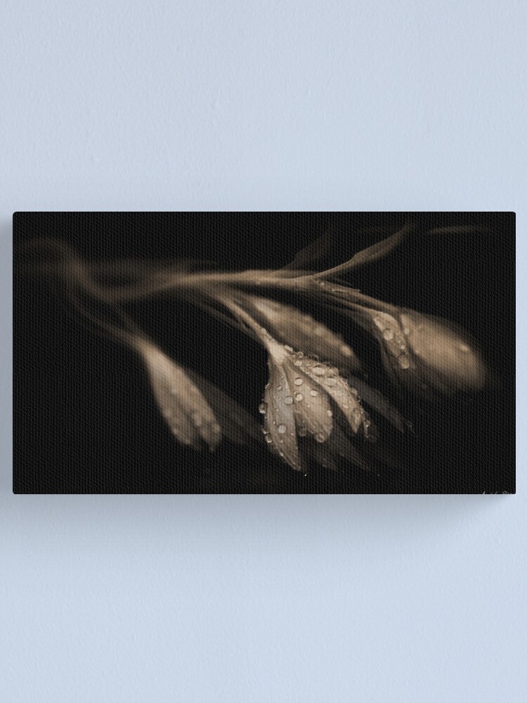 Alternate view of Desires of the Heart Canvas Print