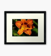 open fire Framed Print