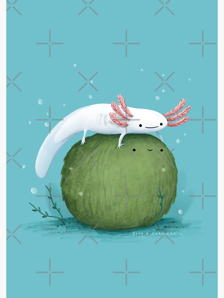 Axolotl on a Mossball by SophieCorrigan