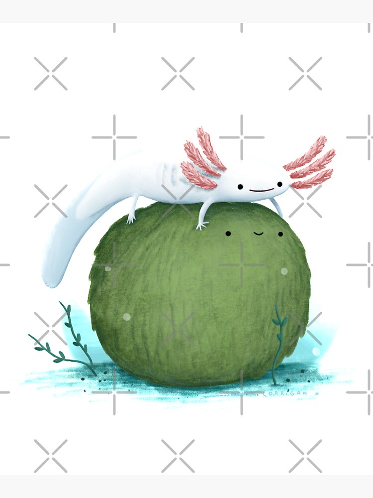 Axolotl on a Mossball by SophieCorrigan