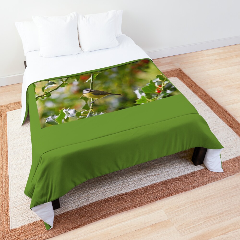 Blue Tit (Cyanistes caeruleus) Comforter