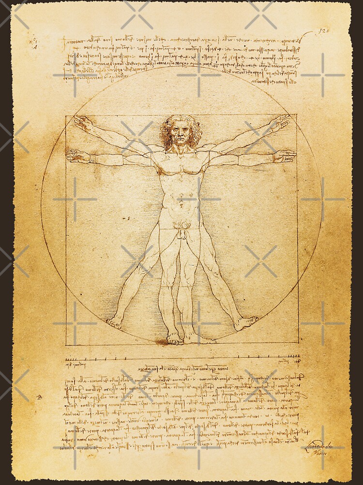 "Leonardo da Vinci Vintage sketch The Vitruvian Man The proportions of