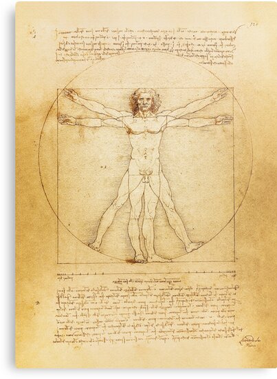 leonardo da vinci body proportions