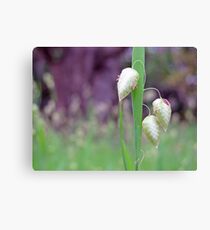 three Canvas Print