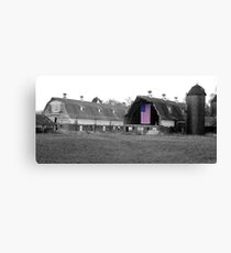 Our Colors Canvas Print