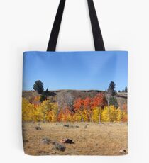 Autumn landscape Tote Bag