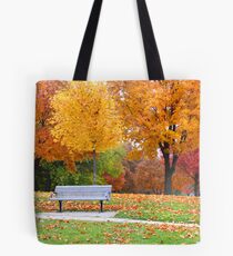 Autumn landscape Tote Bag